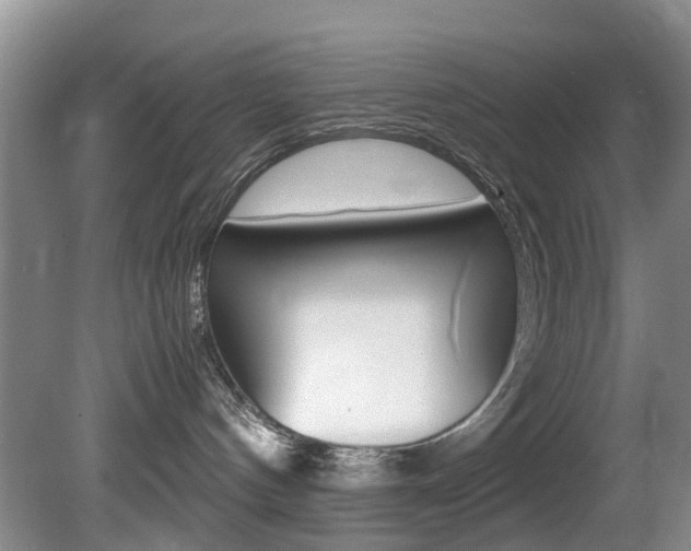 X0000081610144200701151130