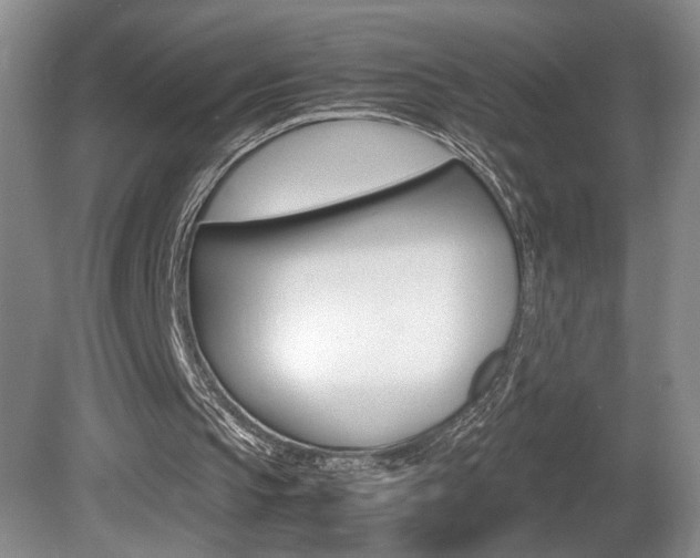 X0000081610145200701151129