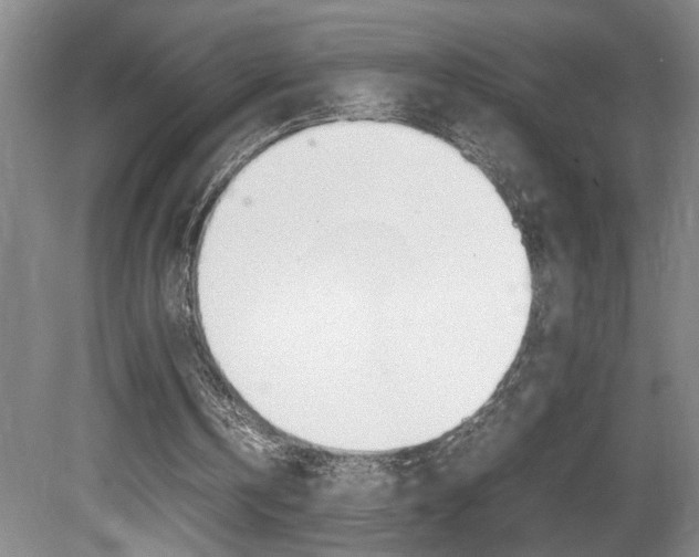 X0000081610146200701151129