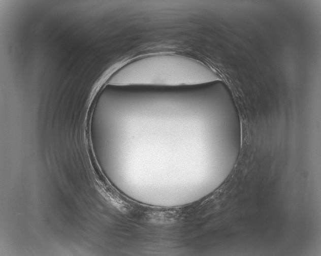 X0000081610147200701151129