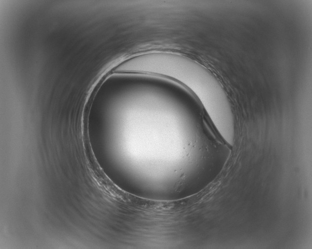 X0000081610148200701151129