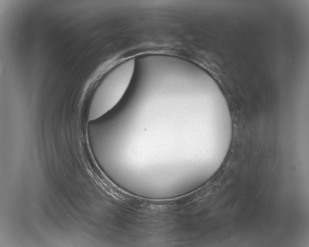 X0000081610149200701151129