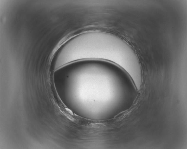 X0000081610150200701151129