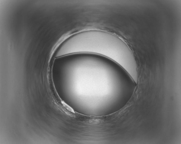 X0000081610152200701151129