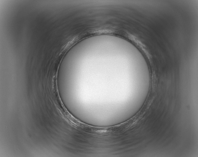 X0000081610153200701151129