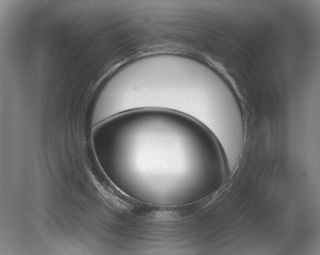 X0000081610154200701151129