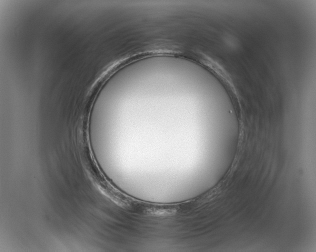 X0000081610155200701151129