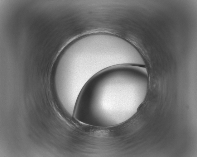 X0000081610156200701151129