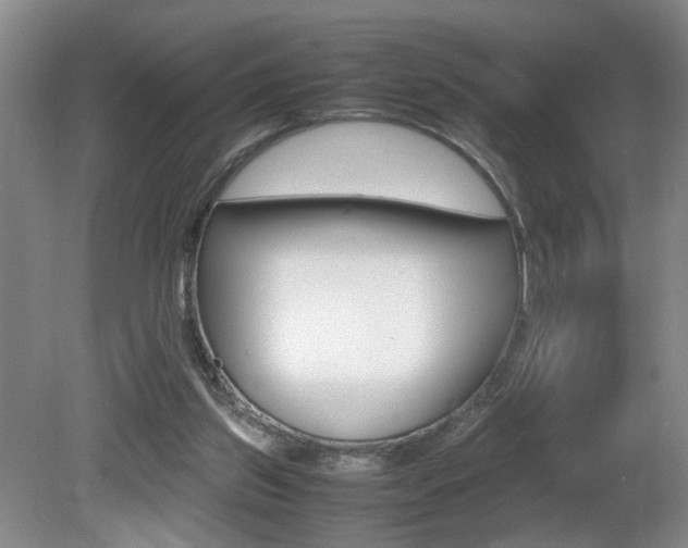 X0000081610157200701151129