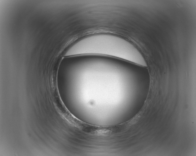 X0000081610158200701151129