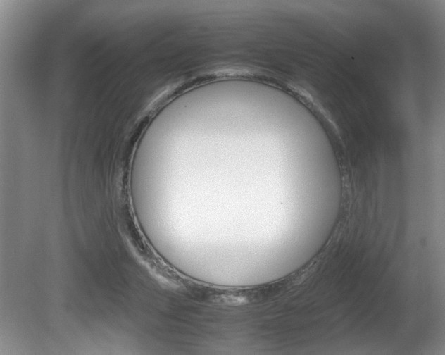 X0000081610159200701151129