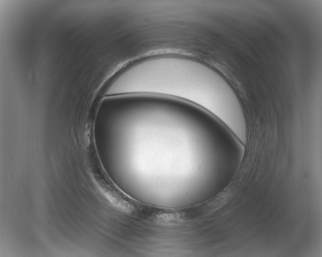 X0000081610160200701151129