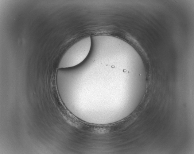 X0000081610161200701151129