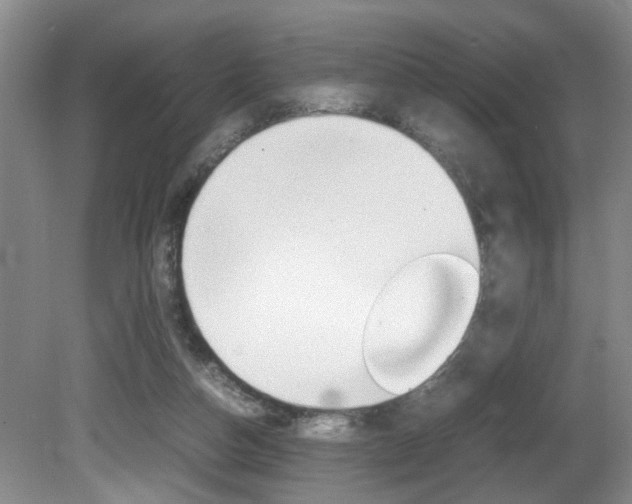 X0000081610162200701151129