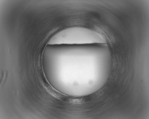 X0000081610163200701151129