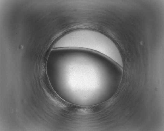 X0000081610164200701151129