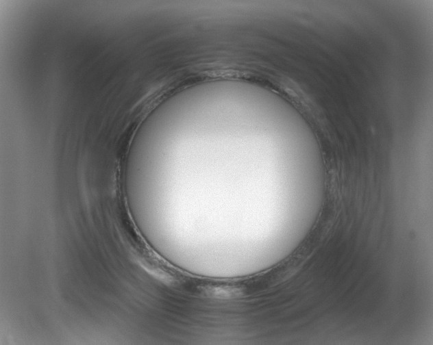 X0000081610165200701151129