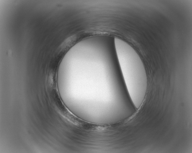 X0000081610166200701151129