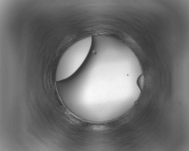 X0000081610169200701151129