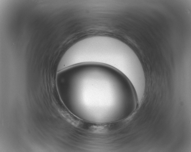 X0000081610170200701151129