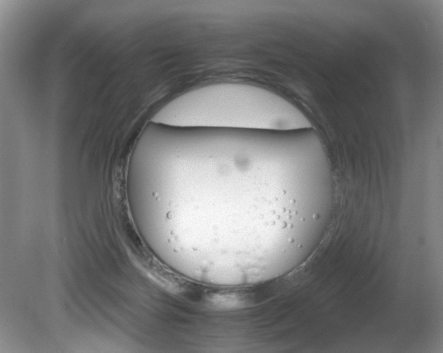 X0000081610171200701151129