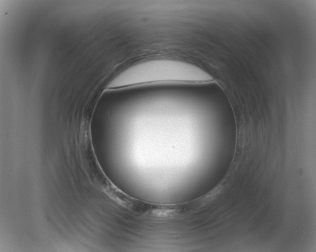 X0000081610172200701151129