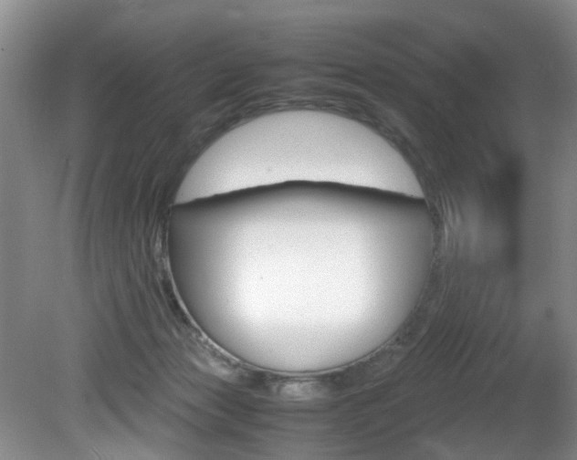 X0000081610173200701151129