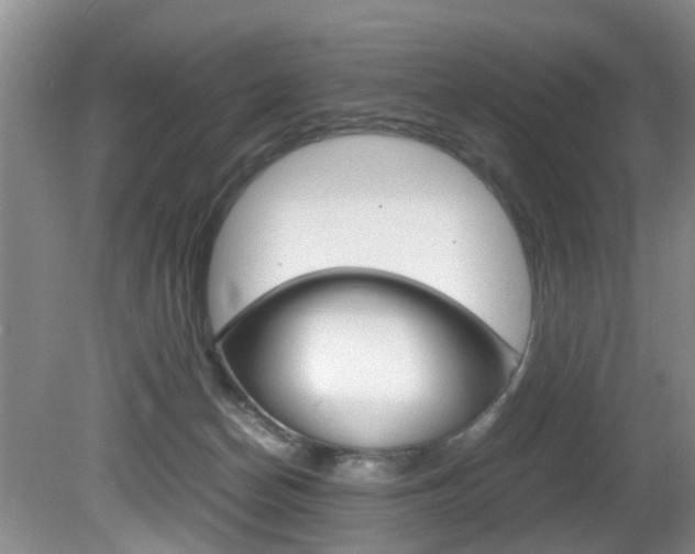 X0000081610174200701151129