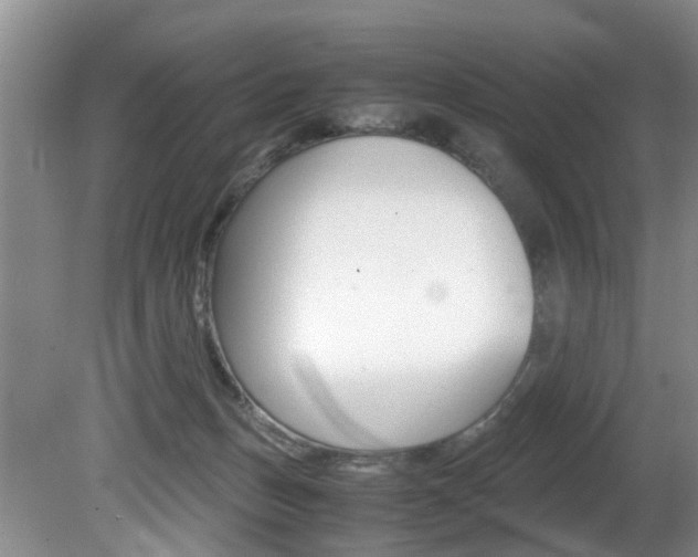 X0000081610175200701151129