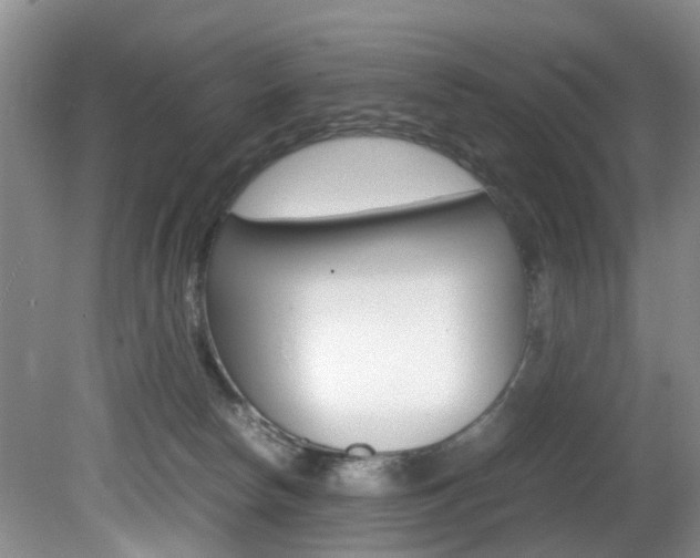 X0000081610178200701151129