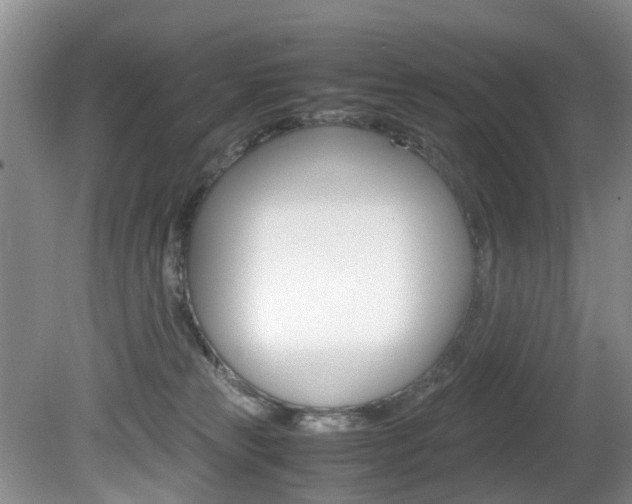 X0000081610181200701151130