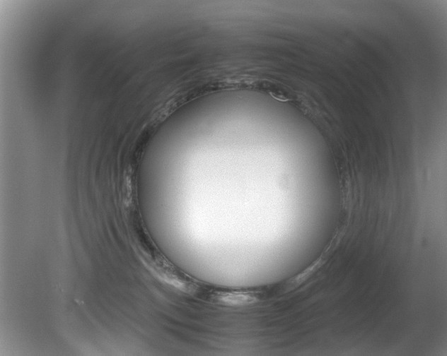 X0000081610183200701151130