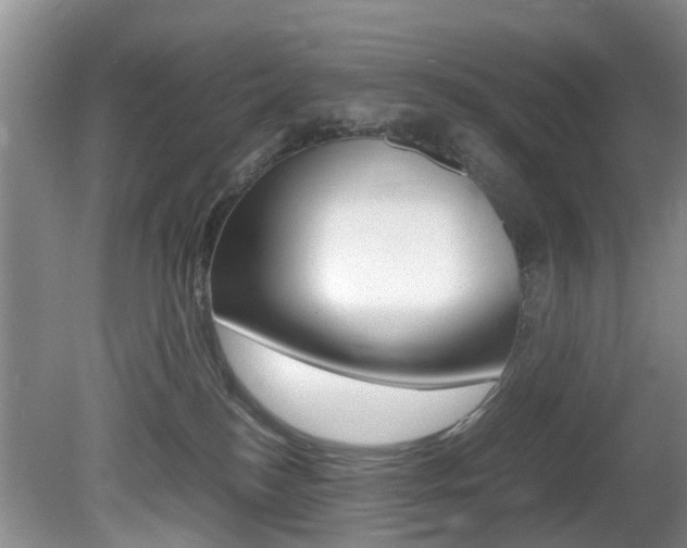 X0000081610184200701151130