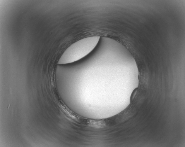 X0000081610185200701151130