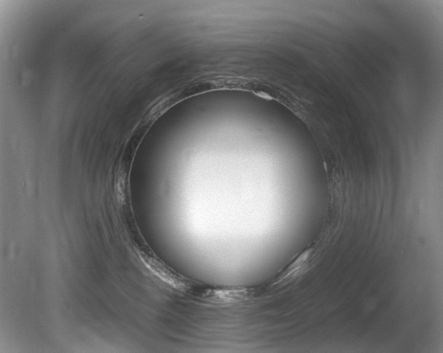 X0000081610188200701151130