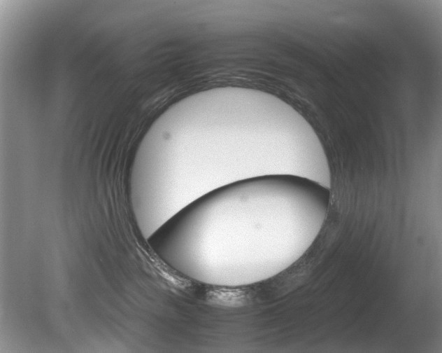 X0000081610189200701151130