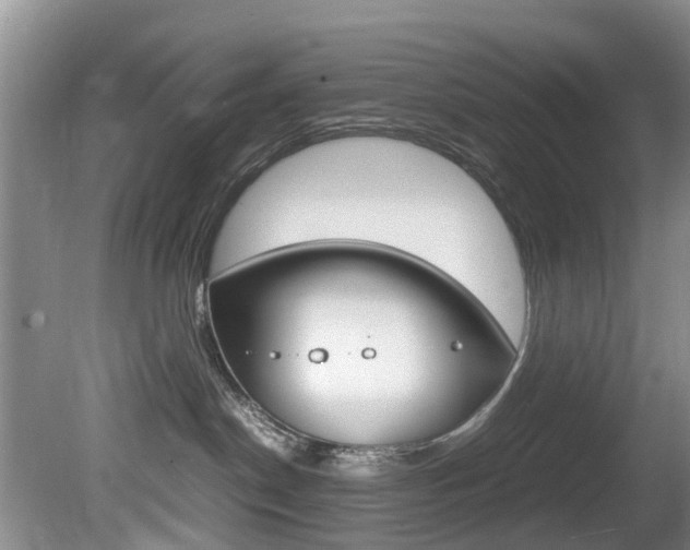 X0000081610190200701151130