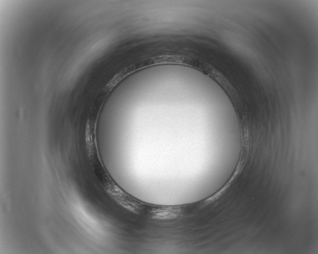 X0000081610191200701151130