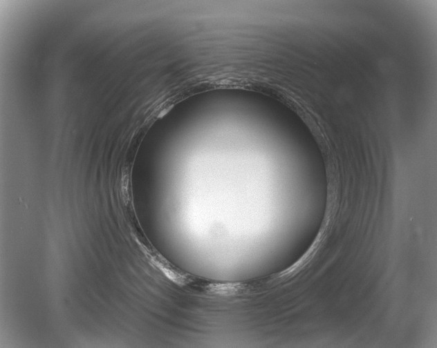 X0000081610192200701151130