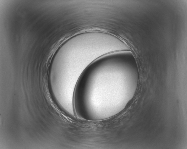 X0000081610193200701151129