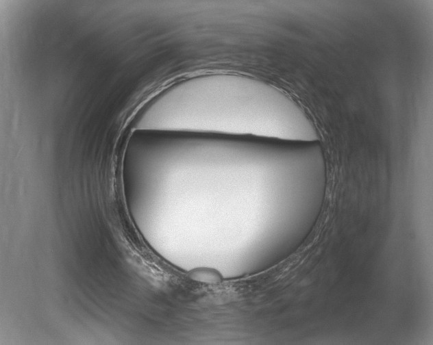 X0000081610194200701151129