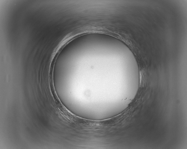 X0000081610195200701151129