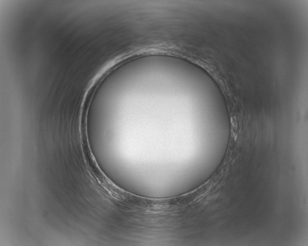 X0000081610196200701151129