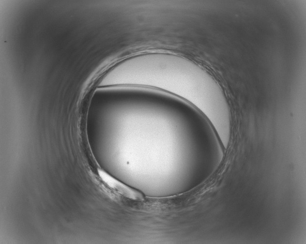 X0000081610197200701151129