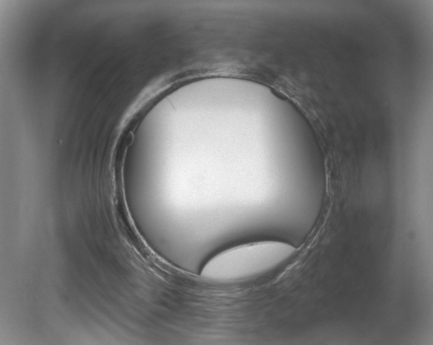 X0000081610198200701151129