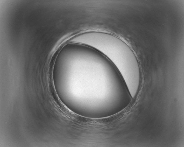 X0000081610199200701151129