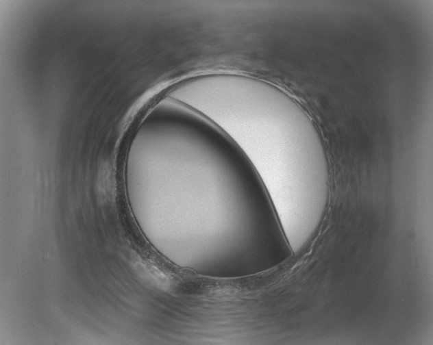 X0000081610200200701151129