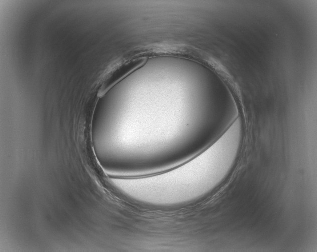 X0000081610201200701151129