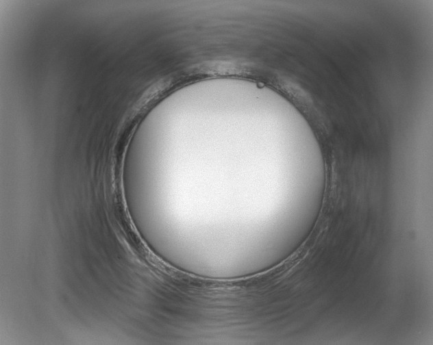 X0000081610202200701151129