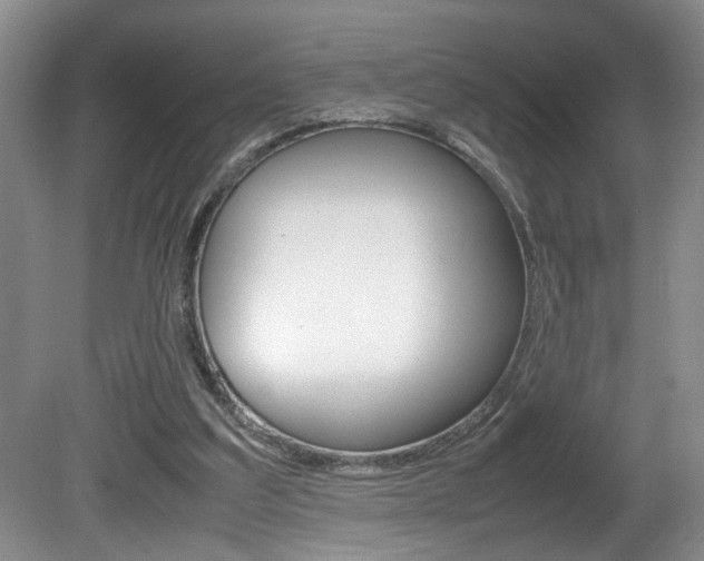 X0000081610203200701151129